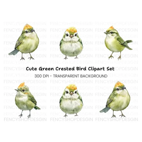 Cute Green Birds Clipart Bundle