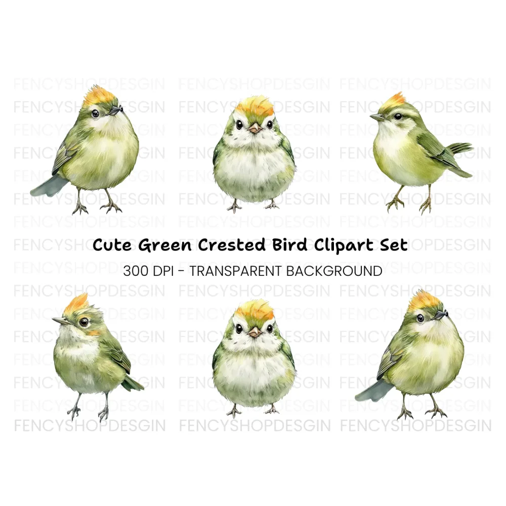 Cute Green Birds Clipart Bundle