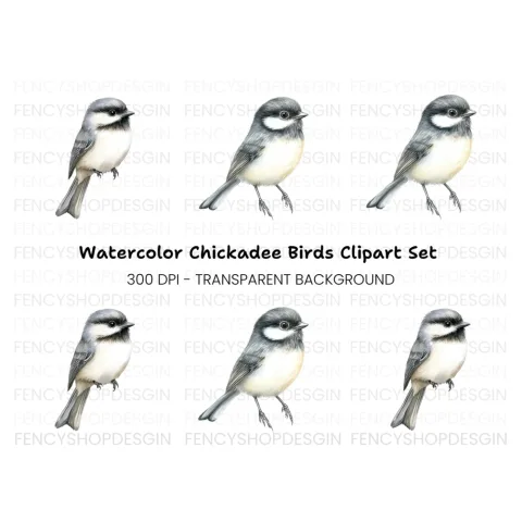 Charming Chickadee Bird Clipart Bundle