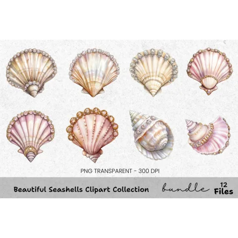 Beautiful Seashells Clipart Bundle