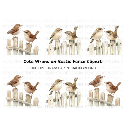 Charming Wren Birds on Fence Clipart Bundle
