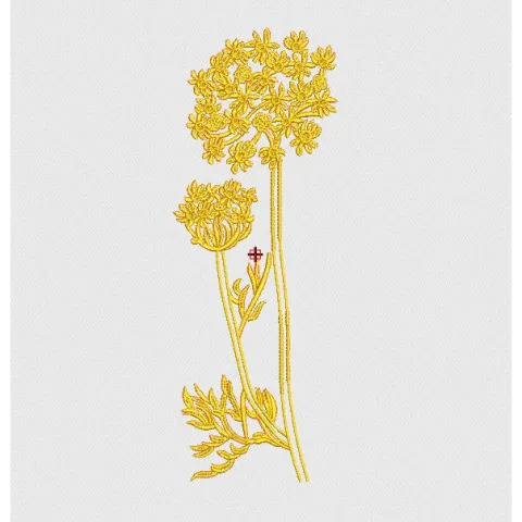 Flower Embroidery Design