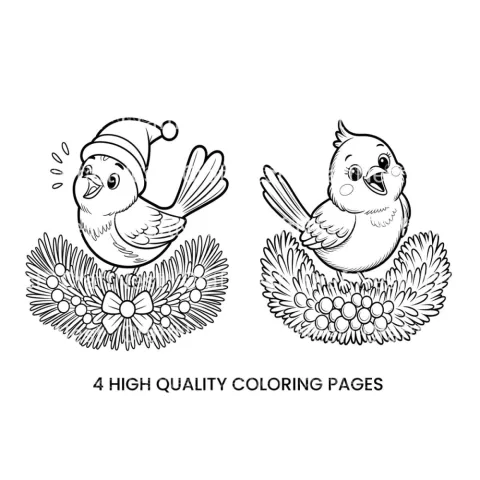 Cute Christmas Birds Coloring Books