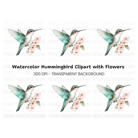 Hummingbird and Cherry Blossom Clipart Bundle