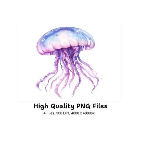 Jellyfish Clipart Bundle