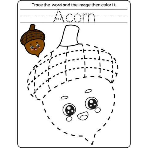 Trace Word and Picture Worksheets for Kids