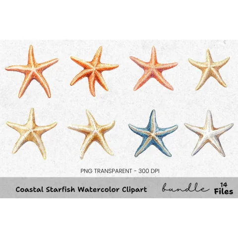 Coastal Starfish Clipart Bundle