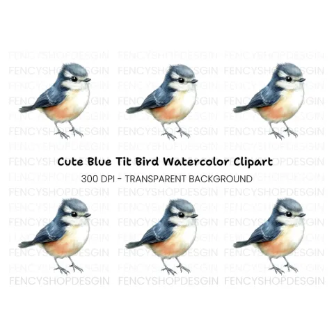 Adorable Blue and Orange Bird Clipart Bundle