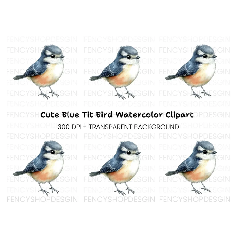 Adorable Blue and Orange Bird Clipart Bundle