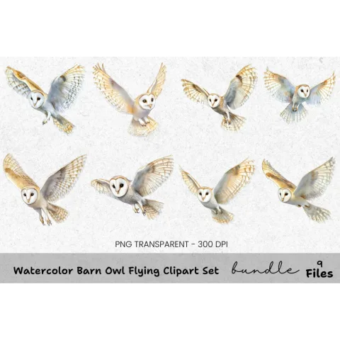 Barn Owl Flying Clipart Bundle