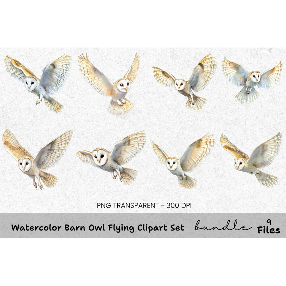 Barn Owl Flying Clipart Bundle