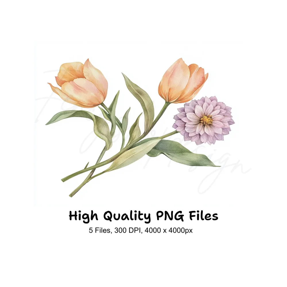 Spring Tulip Dahlia Bouquets Clipart Bundle