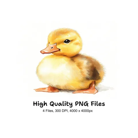 Cute Fluffy Duckling Clipart Bundle