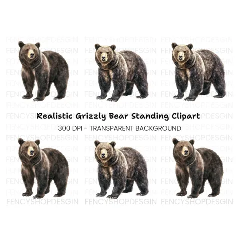 Standing Grizzly Bear Duo Clipart Bundle