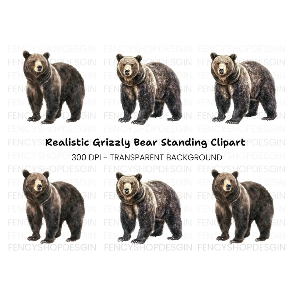 Standing Grizzly Bear Duo Clipart Bundle