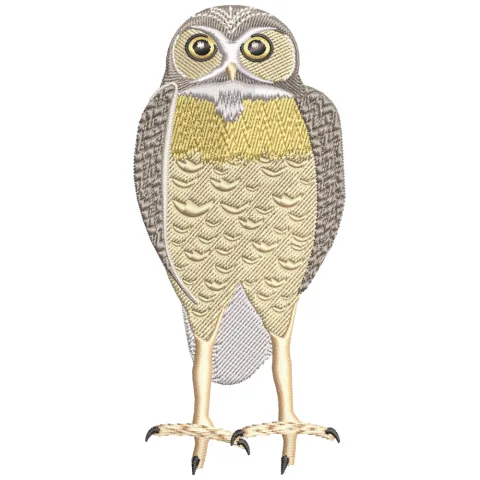 Owl Embroidery Design
