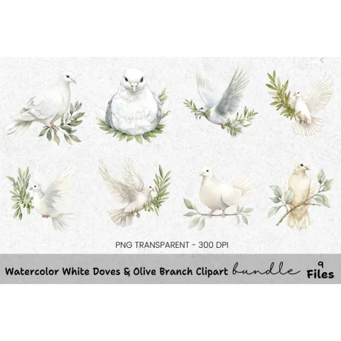 White Doves Olive Branch Clipart Bundle