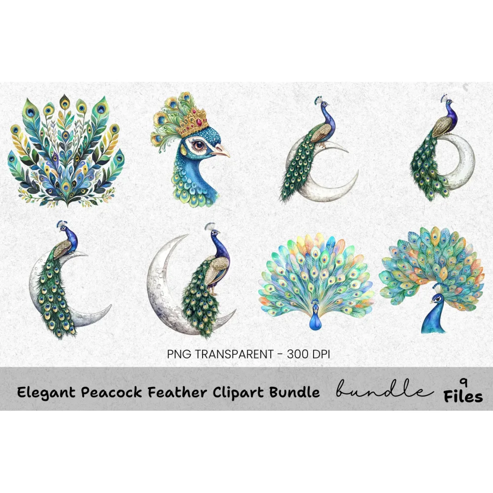Elegant Peacock Feather Clipart Bundle