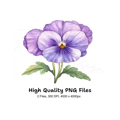 Delicate Purple Pansy Clipart Bundle