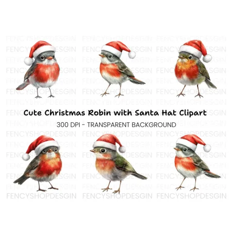Christmas Robin Birds Clipart Bundle