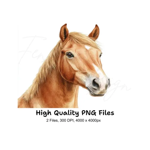 Detailed Horse Head Portrait Clipart Bundle