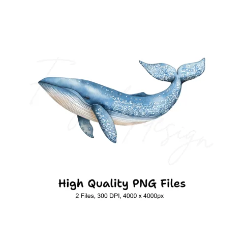 Whale Clipart Bundle
