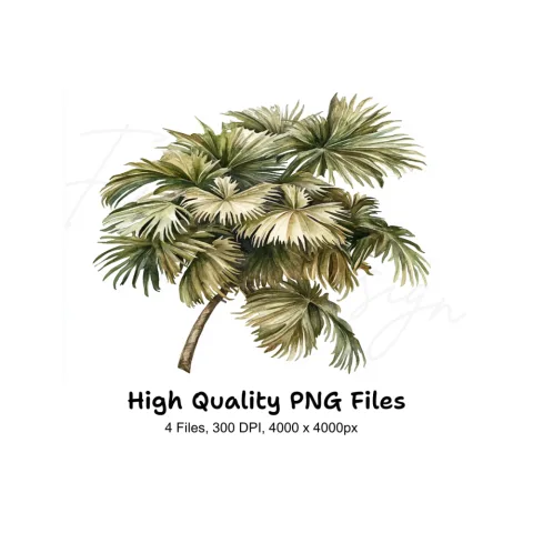 Dried Palm Leaves Clipart Bundle