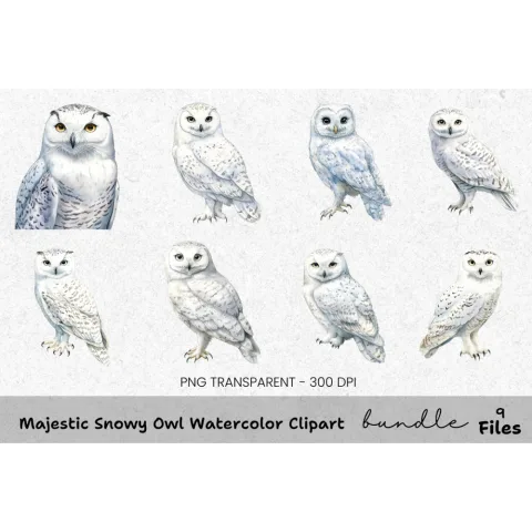 Majestic Snowy Owl Clipart Bundle