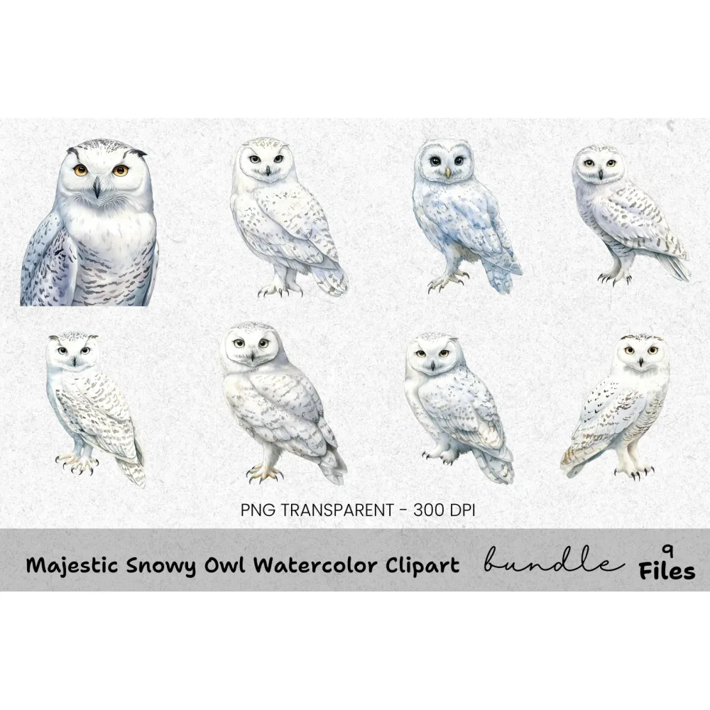 Majestic Snowy Owl Clipart Bundle