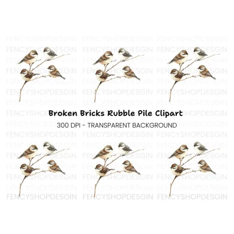Cute Birds on Branch Clipart Bundle