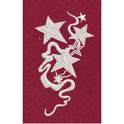 Aesthetic Star Logo Celestial Swirl Embroidery Design