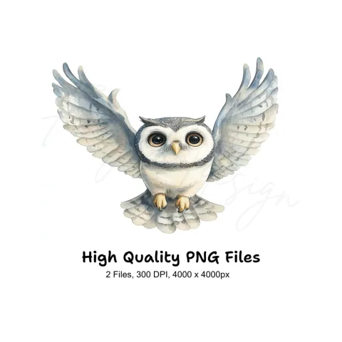 Cute Flying Owl Clipart Bundle