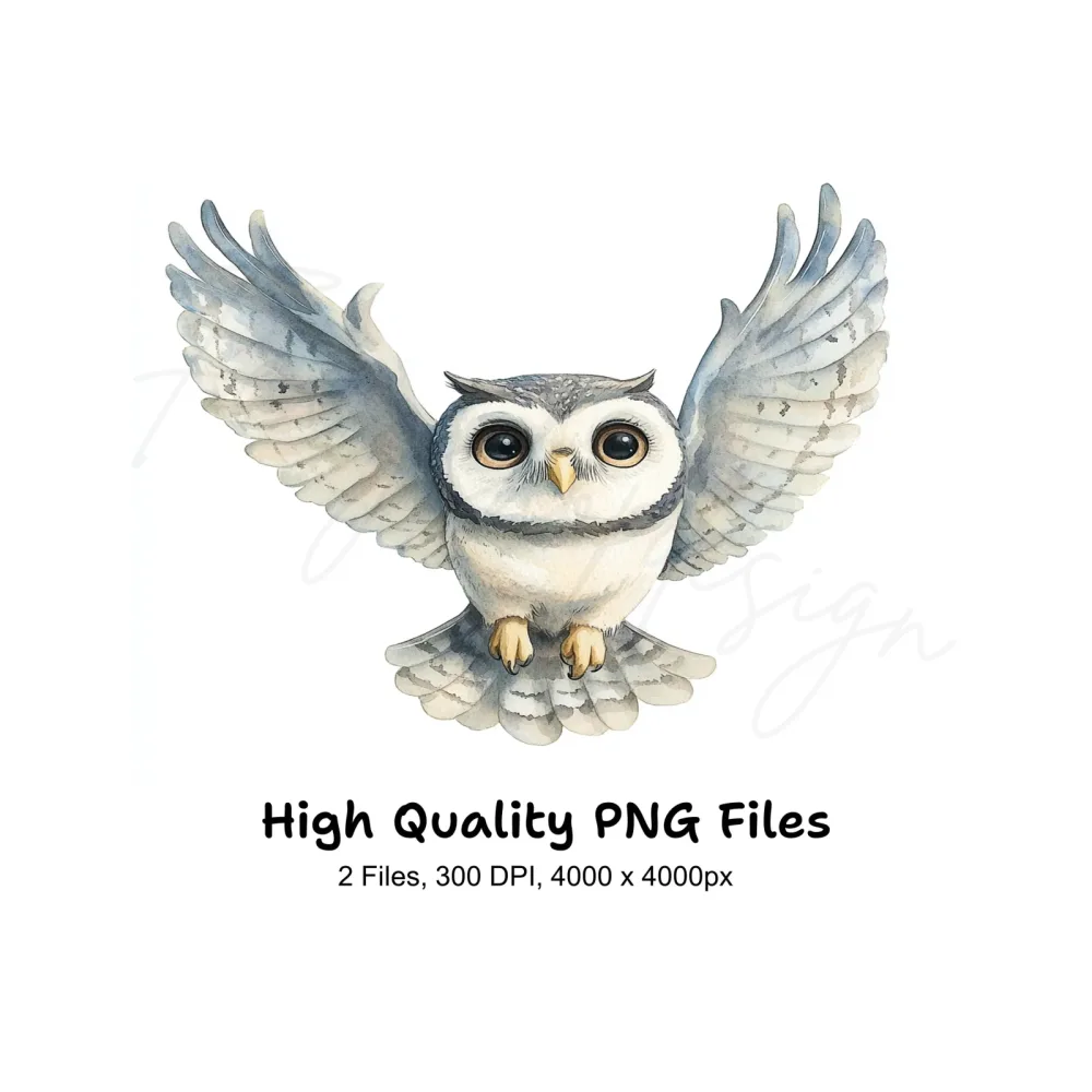 Cute Flying Owl Clipart Bundle
