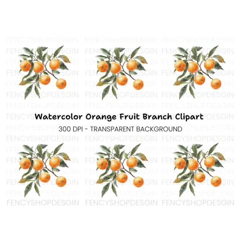 Orange Fruit Branch Clipart Bundle