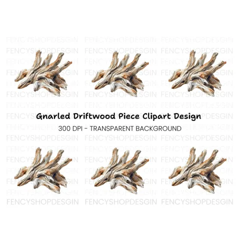 Driftwood Clipart Bundle