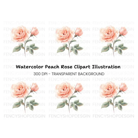 Elegant Peach Rose Illustration Clipart Bundle