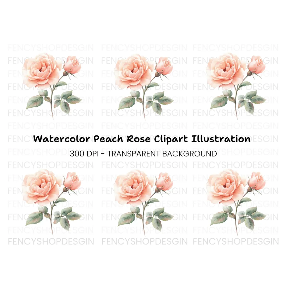 Elegant Peach Rose Illustration Clipart Bundle