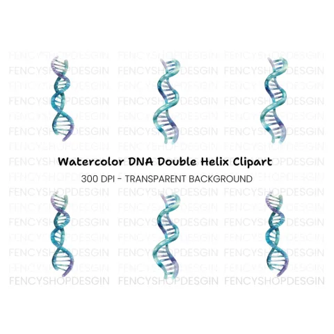 DNA Strand Clipart Bundle