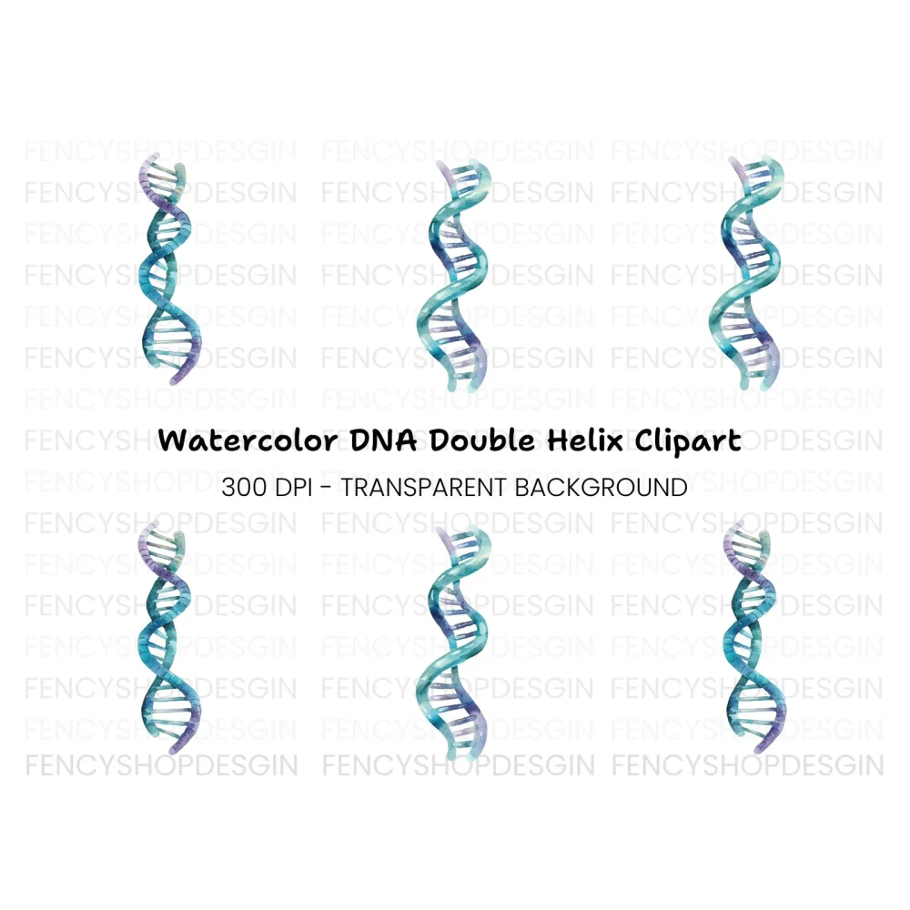 DNA Strand Clipart Bundle
