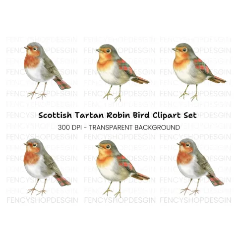 Charming Robin Bird Clipart Bundle