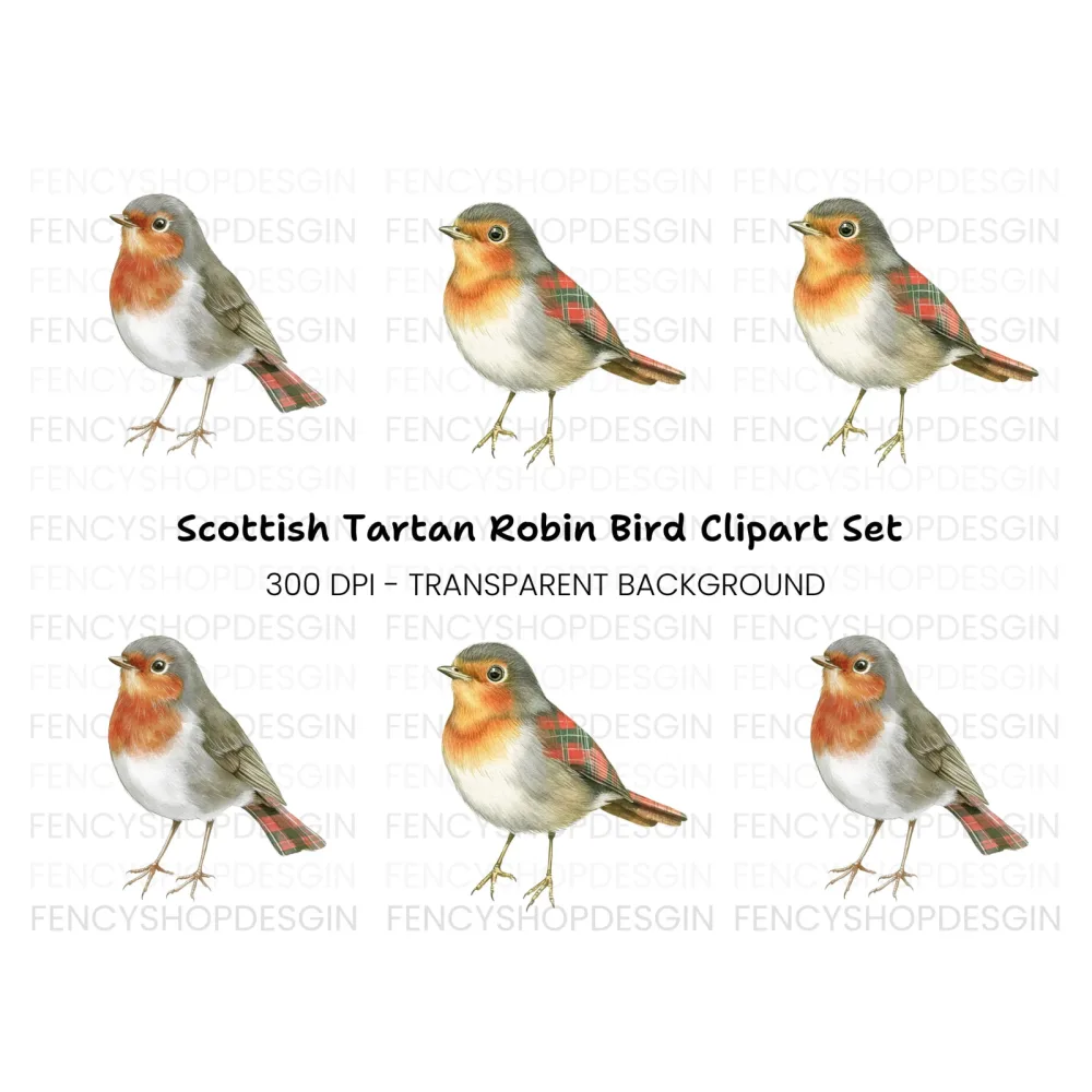 Charming Robin Bird Clipart Bundle