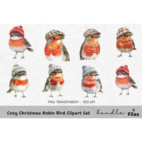 Cozy Christmas Robin Bird Clipart Bundle