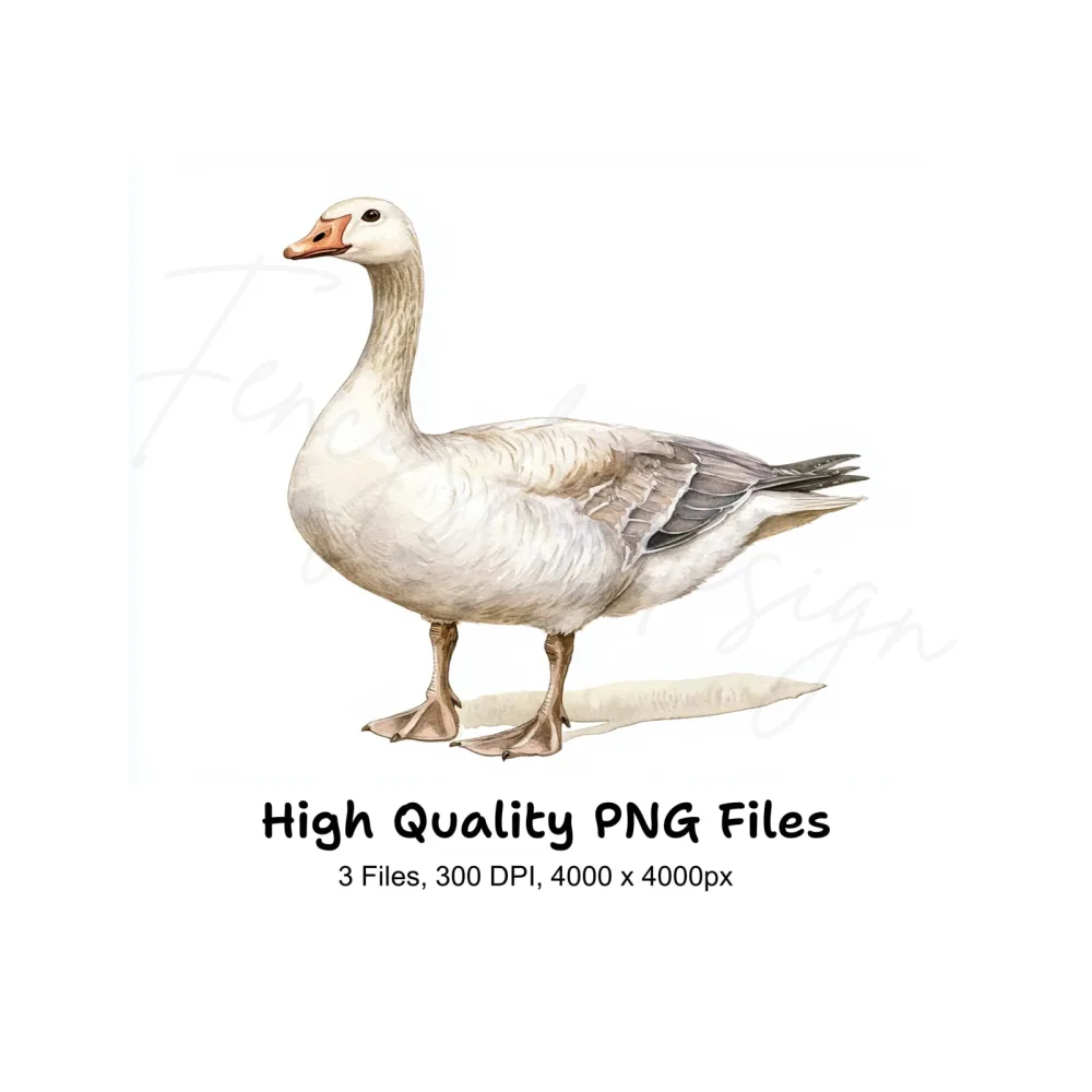 Geese Clipart Bundle