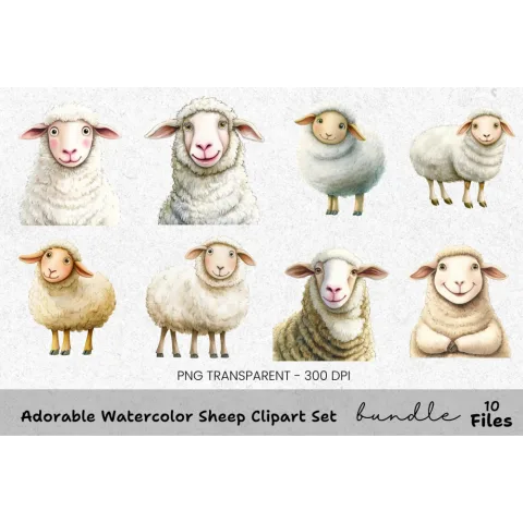 Adorable Sheep Clipart Bundle