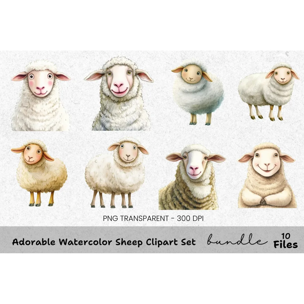 Adorable Sheep Clipart Bundle
