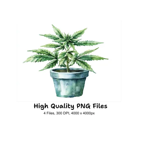 Cannabis Plant Clipart Bundle