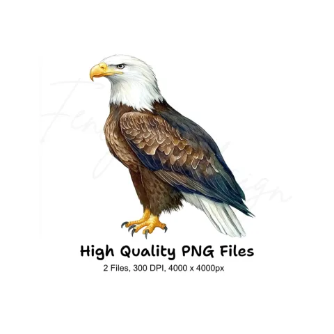 Realistic Bald Eagle Clipart Bundle