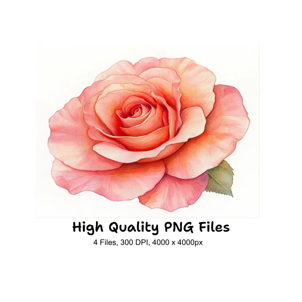 Vibrant Pink Rose Clipart Bundle
