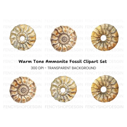 Ammonite Fossil Clipart Bundle