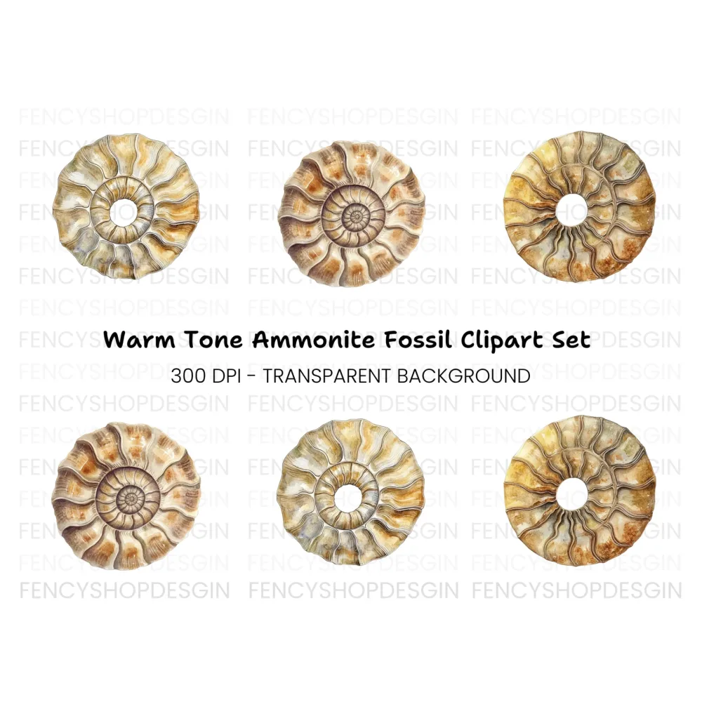 Ammonite Fossil Clipart Bundle